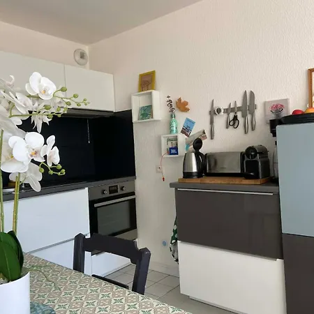 Gribiche Et Ravigote, Duplex Vue Et Parking *
