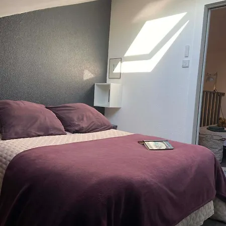 Apartamento Gribiche Et Ravigote, Duplex Vue Et Parking